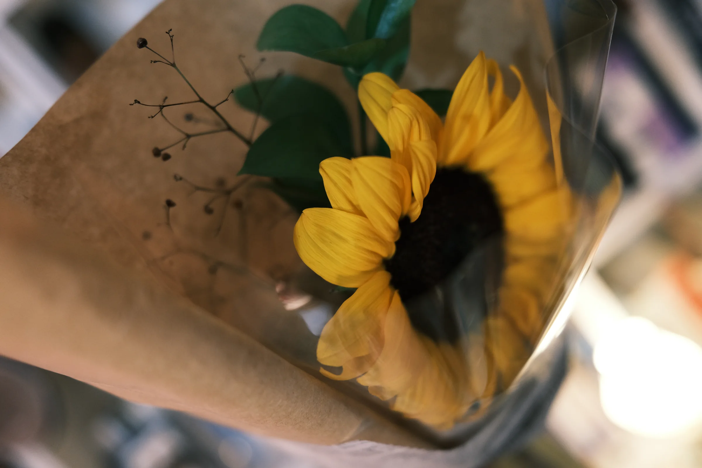 관객의 기록 08