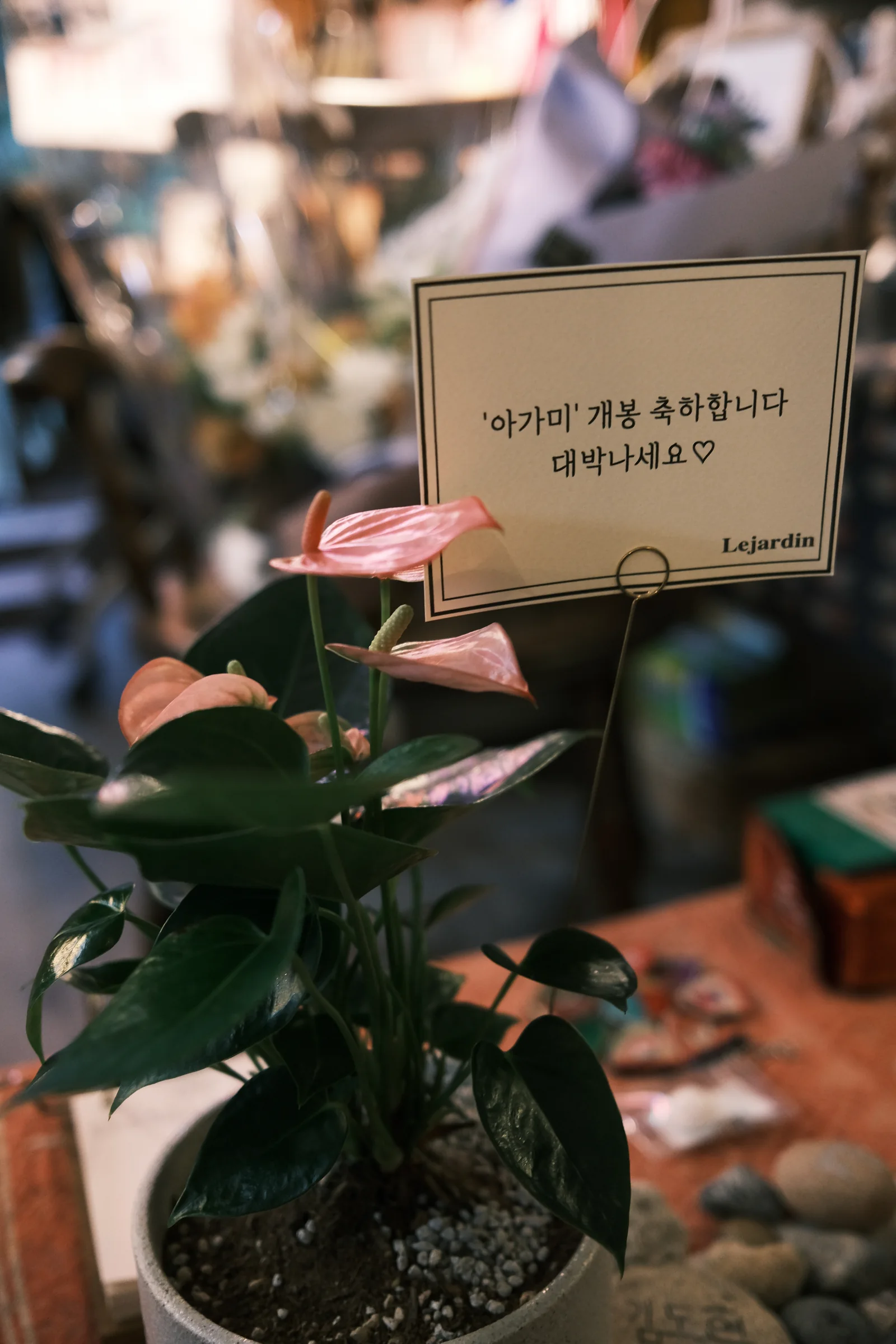 관객의 기록 10