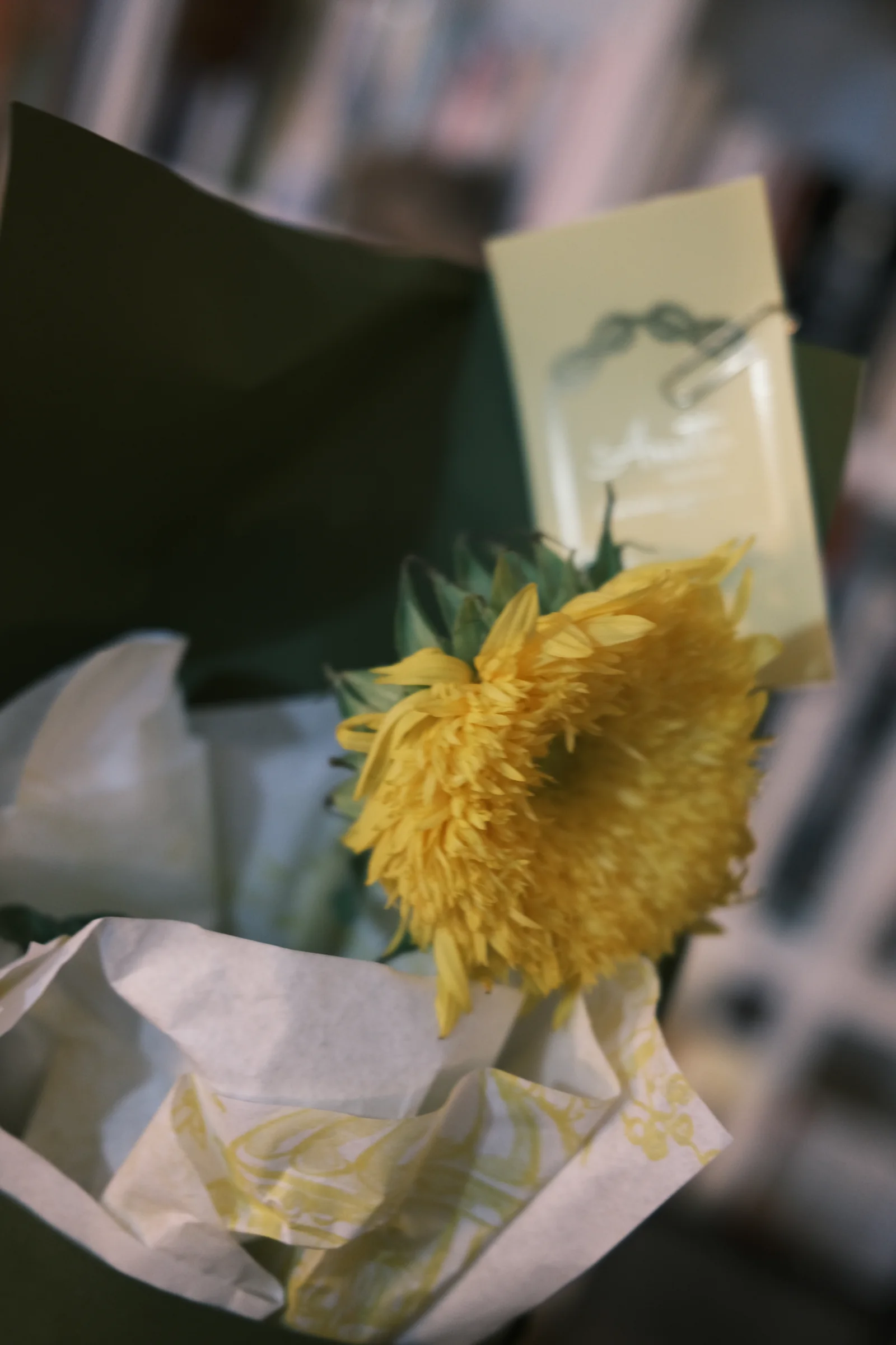 관객의 기록 14